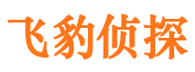 怀宁市私人侦探